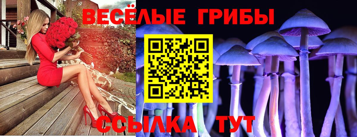 закладки  Вход с VPN  Гусев  Псилоцибиновые грибы прущие грибы 