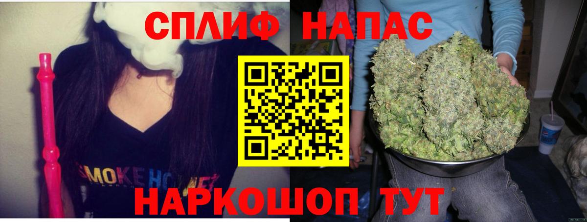 Конопля гибрид Гусев