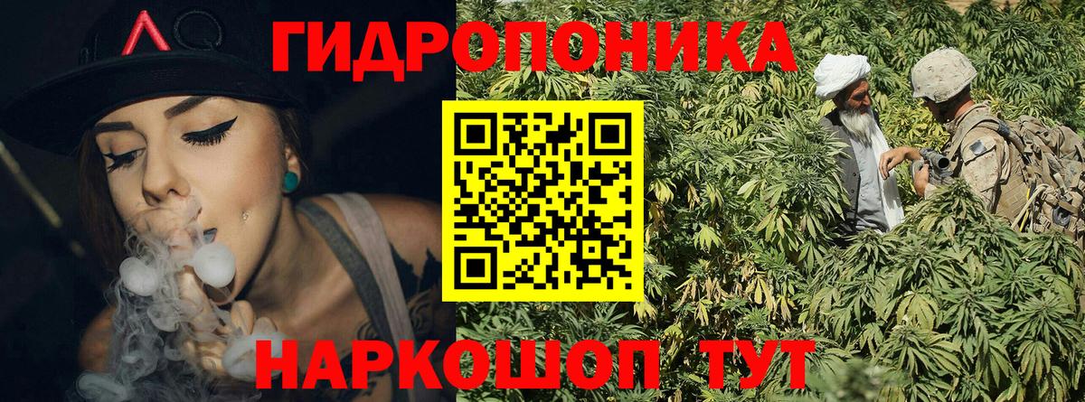 Конопля план  Вход с VPN  Шишки марихуана Bruce Banner  Конопля ГИДРОПОН  Гусев  Шишки марихуана план 